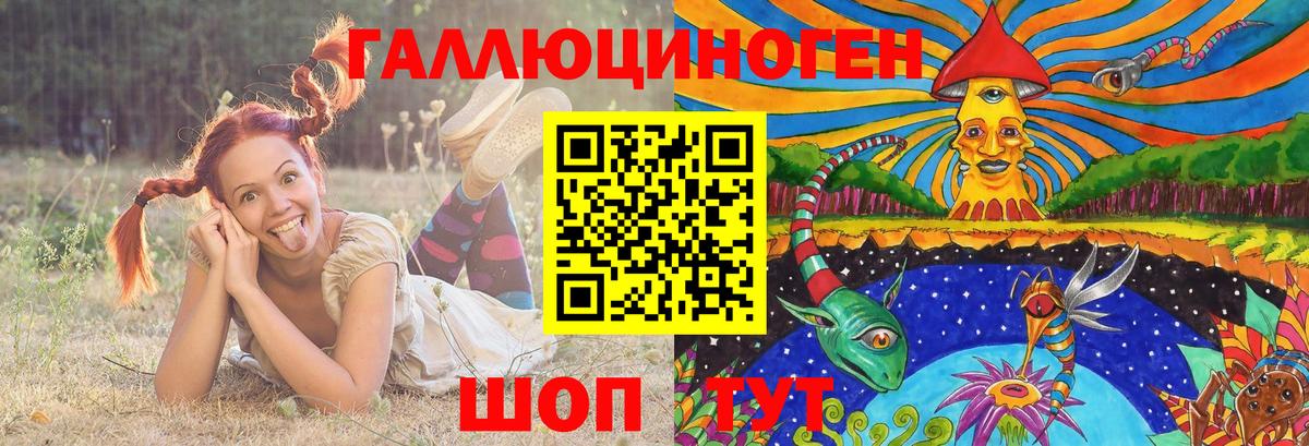 Псилоцибиновые грибы Psilocybine cubensis Ртищево