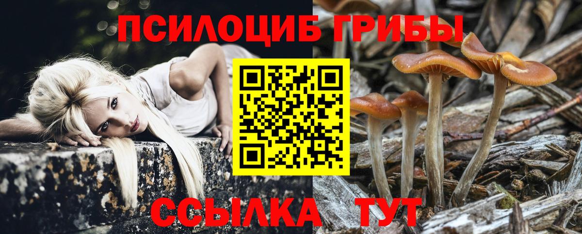 Галлюциногенные грибы мицелий  как найти   Вход с VPN  Ртищево  Галлюциногенные грибы Magic Shrooms 